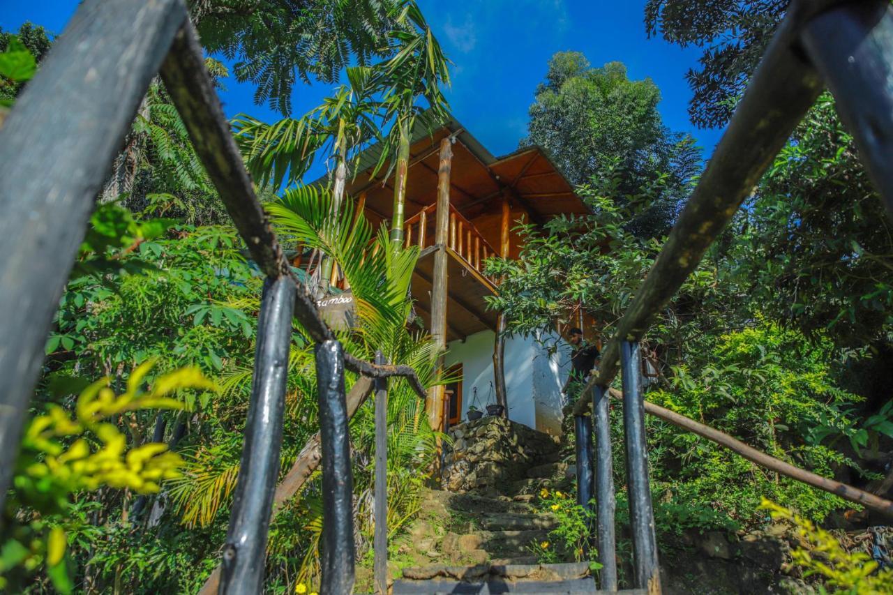เอลลา แบมบู คาบานา Bed & Breakfast ภายนอก รูปภาพ